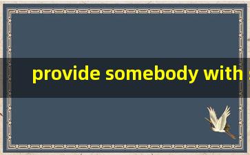 provide somebody with something造句